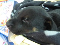 /album/associane-amici-miei/io-049-jpg/